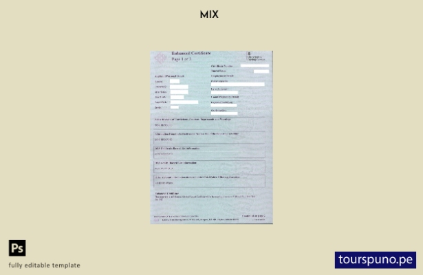 Plantilla de certificado del Servicio de divulgación y restricción (DBS) del Rei